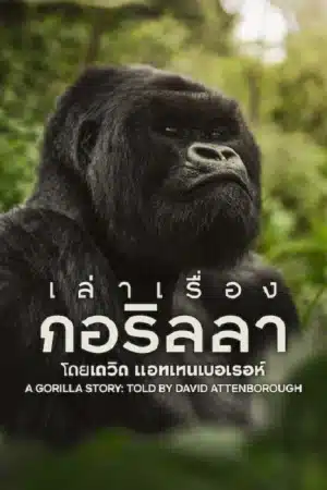 A Gorilla Story